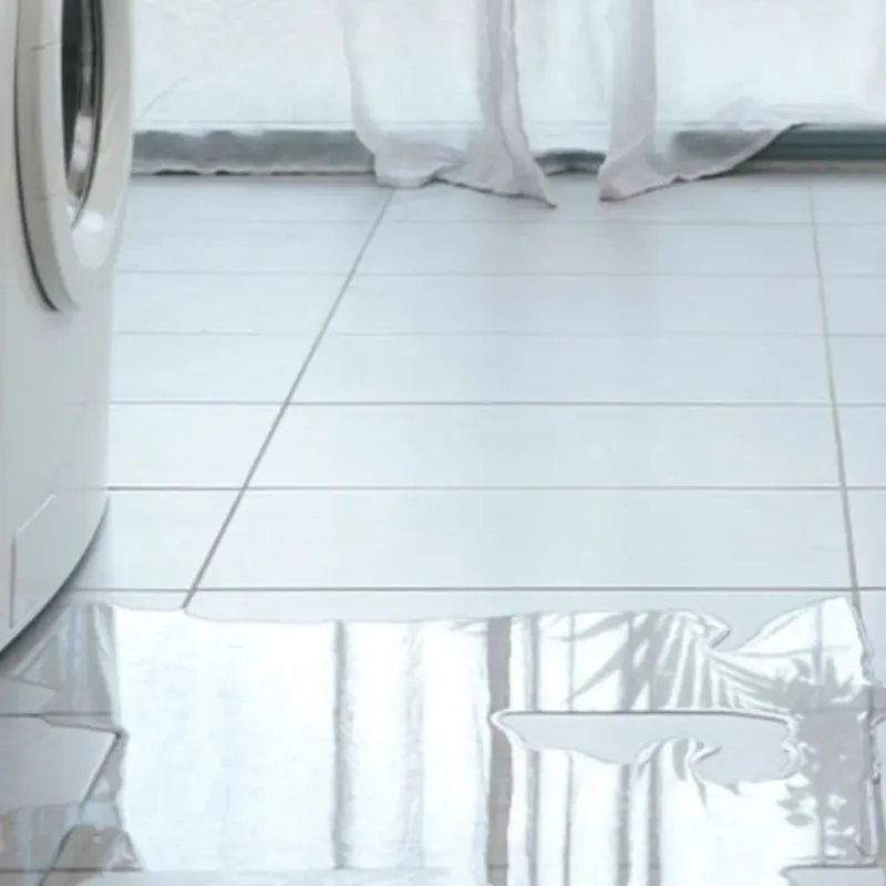 Appliance Leak Cleanup in Madisonville, KY