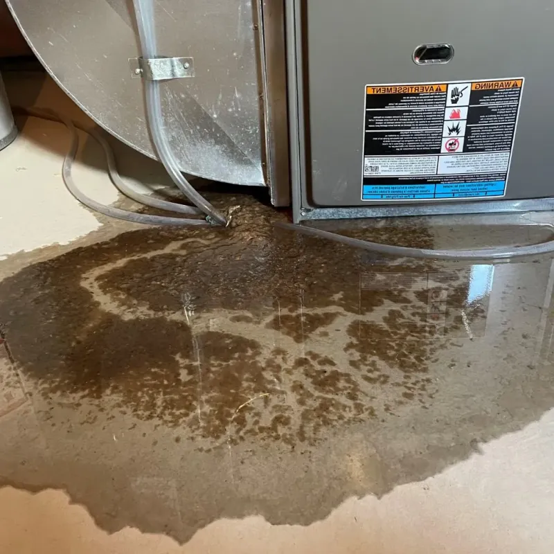 Pipe Burst and Leak Restoration in Madisonville, KY