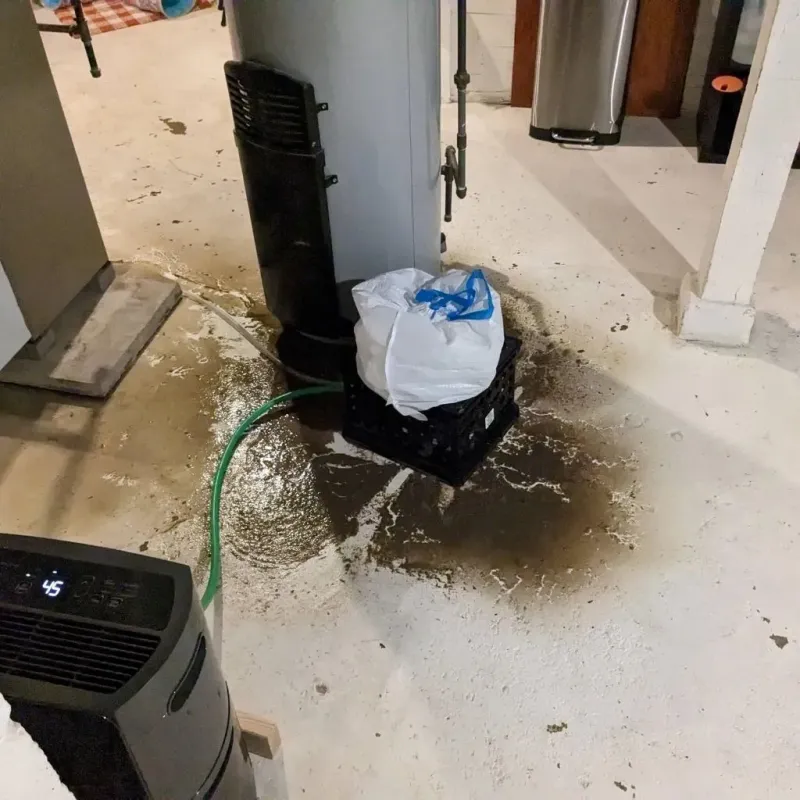 Sewage Backup Cleanup Service in Madisonville, KY